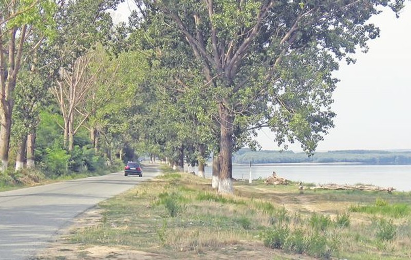 În sudul Dobrogei, o cruce creşte singură din pământ