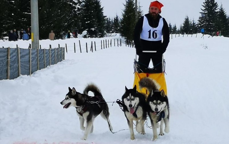Concursul cu câini nordici din Pasul Tihuța, inclus în documentarul "Wild Carpathia". Pelicula promovează frumusețile României