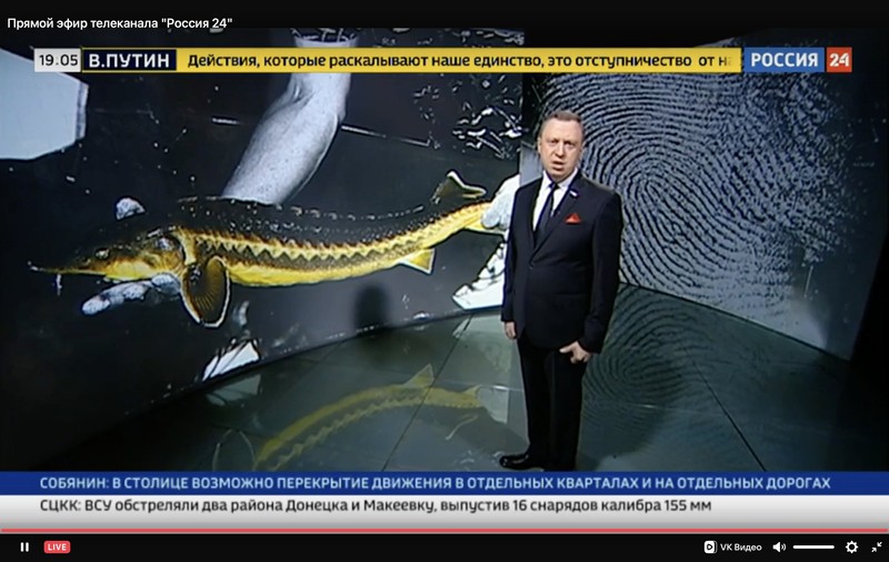 Ce au văzut rușii la televizor în timpul rebeliunii Wagner: linia Kremlinului, multe reclame și un documentar despre caviar