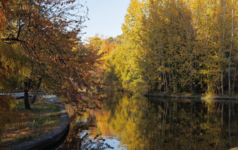 Grădina Botanică, locul perfect pentru cele mai bune poze pentru rețelele de socializare