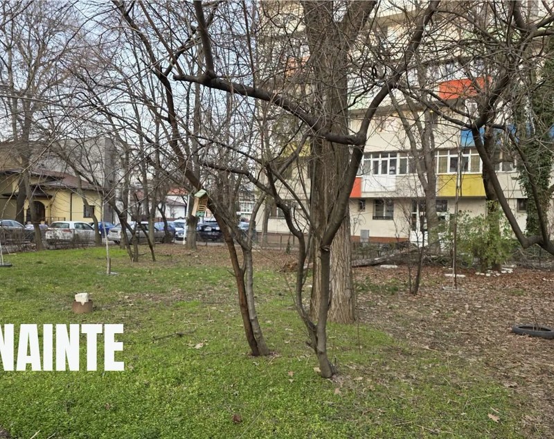 Calea Griviței, o imensă grădină, peste 9.000 de plante și 120 de copaci au răsărit în mai multe zone