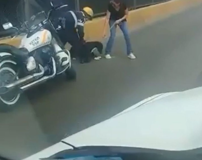 Un polițist a oprit traficul ca să salveze un câine. Gestul agentului a emoționat pe toată lumea | FOTO