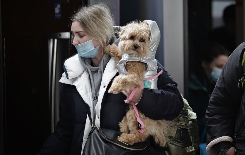 Loc amenajat special pentru animalele refugiaților, în Gara de Nord. Mâncare, pături și cuști pentru transport