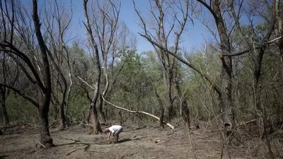 Drone rusești aproape de România: mesaj RO-Alert în Tulcea, după ce o țintă a intrat în spațiul aerian