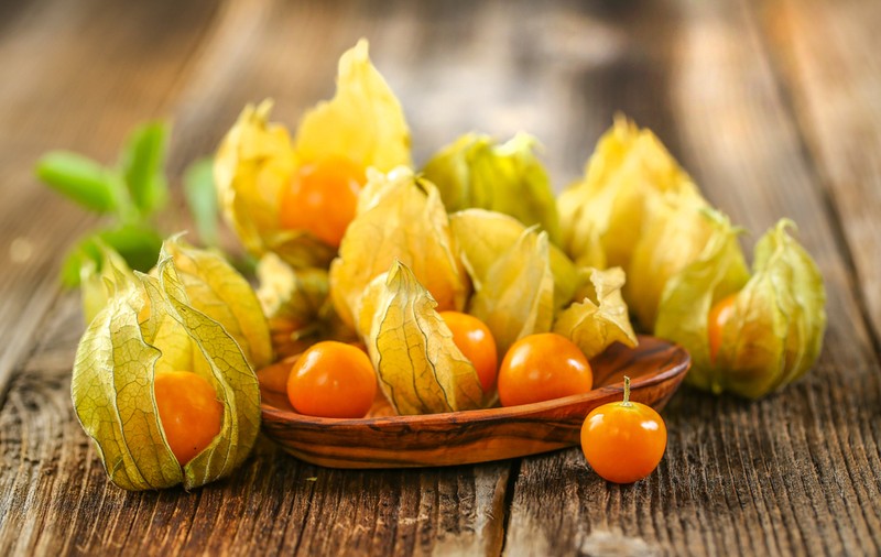 Physalis - ce beneficii are, cum se mănâncă și cum se cultivă