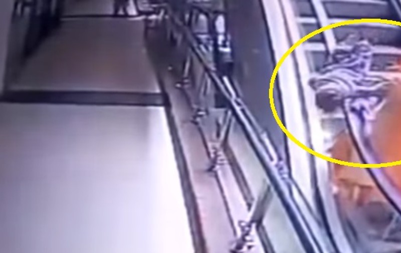 VIDEO | Un copil a murit după ce mama lui s-a dezechilibrat pe o scară rulantă și l-a scăpat din brațe! Atenție, imagini șocante