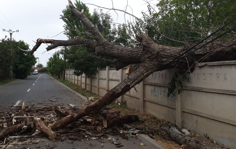 Mai multe localități din județul Timiș au rămas aseară fără curent electric, după o furtună puternică