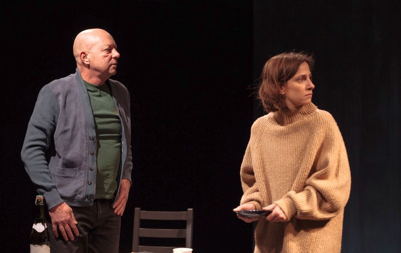 Teatrele și actorii români oferă spectacole pe net. Ce spectacole și cum le poți vedea