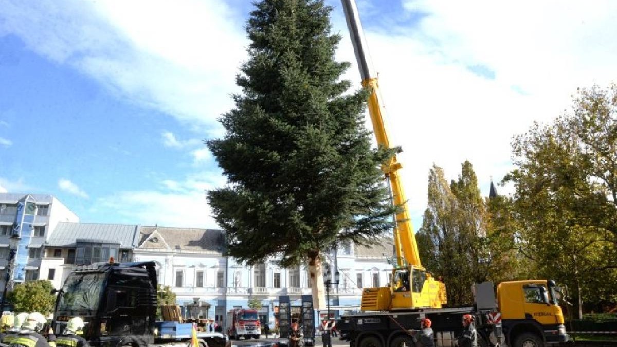 Un brad este instalat cu ajutorul unei macarale în piața centrală din Nyíregyháza