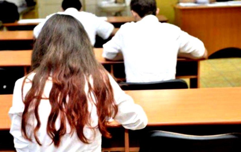Subiecte simulare BAC 2019 - Limba Română
