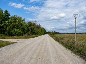 Arhiva foto