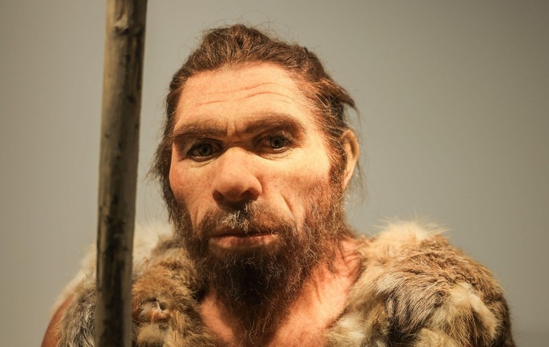 Cel mai vechi ADN cunoscut al speciei Homo sapiens, descoperit în Germania. Momentul major al încrucișării cu neanderthalienii