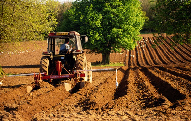Sprijin financiar pentru producătorii agricoli. În ce condiții pot primi 3.000 de euro de la stat