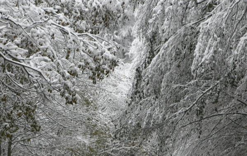 Update: Tiruri şi maşini blocate pe Valea Prahovei şi telecabine oprite