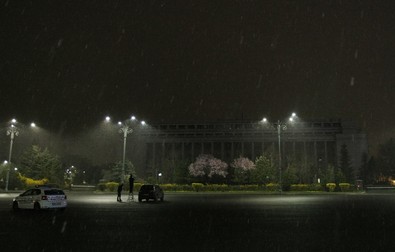 Arhiva foto