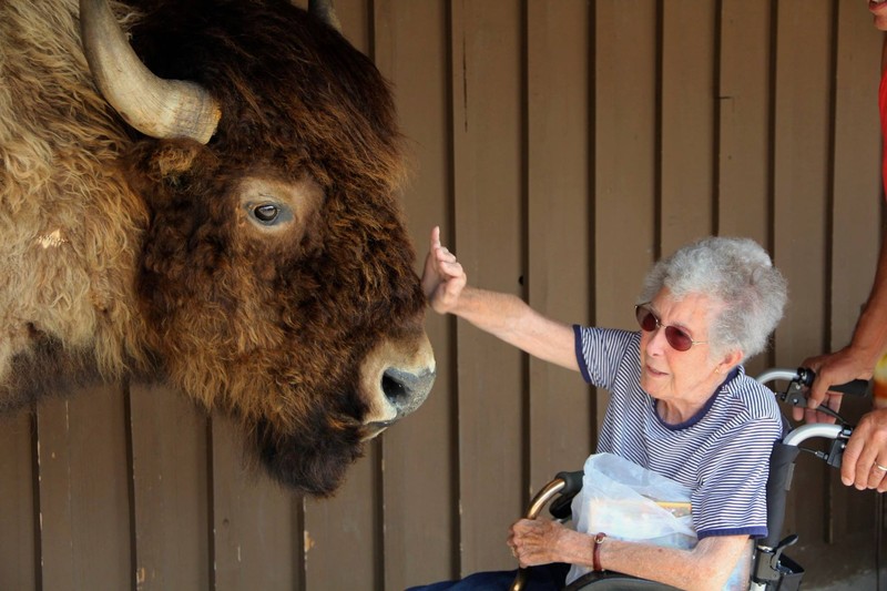 90-Year-Old With Cancer Chooses Epic Road Trip With Family Instead Of Treatment..Believe it or not however, the 90-year-old woman who went on a road trip with her family instead of choosing cancer treatment is the remarkable true story of Norma, a Michigan woman who said no to chemotherapy and yes to living her dream..Norma was diagnosed with uterine cancer soon after Leo, her husband of 67 years, passed away in July of 2015. When her doctor informed her about her possibilities for treatment, Norma refused the options available and instead decided to do the unexpected..ÄúIÄôm 90-years-old, IÄôm hitting the roadÄÌ, she said. And thatÄôs exactly what she did, and sheÄôs been on the road ever since. Along with her son and his wife, the three have traveled all over the United States and they donÄôt look like theyÄôre stopping any time soon. You can follow their inspiring journey on her Facebook page, Driving Miss Norma...Doctors told her she could undergo chemotherapy, but Norma had other ideas ÄúIÄôm 90-years-old, IÄôm hitting the roadÄÌ, she said. And thatÄôs exactly what she did, Along with her son Tim and her daughter-in-law Ramie, Norma set off on an epic road trip across the United States, With no guarantee that sheÄôd survive the surgery and chemotherapy necessary to treat her cancer, she decided to enjoy the time she had left by doing the things sheÄôs always wanted to do,TheyÄôve traveled across several states and have visited many places on their amazing journey,TheyÄôve been to many places including Mount Rushmore, Yellowstone National Park and the Rocky MountainsÄ¶.¬©Exclusivepix Media (Credit Image: © Exclusivepix media via ZUMA Press)
