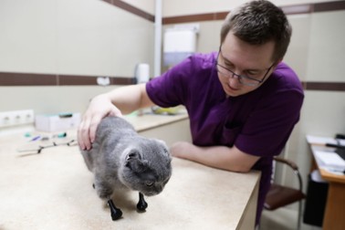 Dymka, după operație, alături de veterinarul care a operat-o
