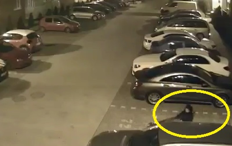 VIDEO | O hoață a fost filmată în timp ce a spart o mașină într-o parcare din Oradea!