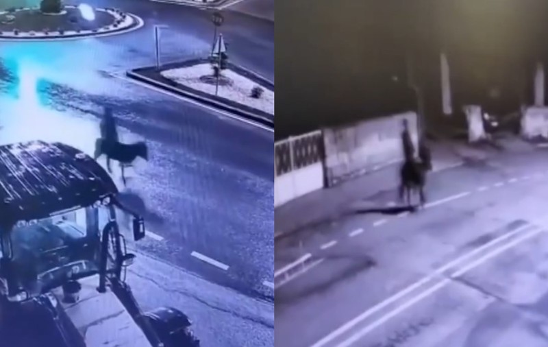 A spart o bijuterie și a fugit călare pe un măgar, însă a regretat totul în foarte scurt timp