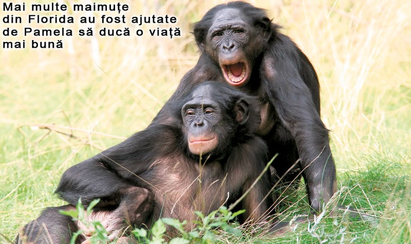 Arhiva foto