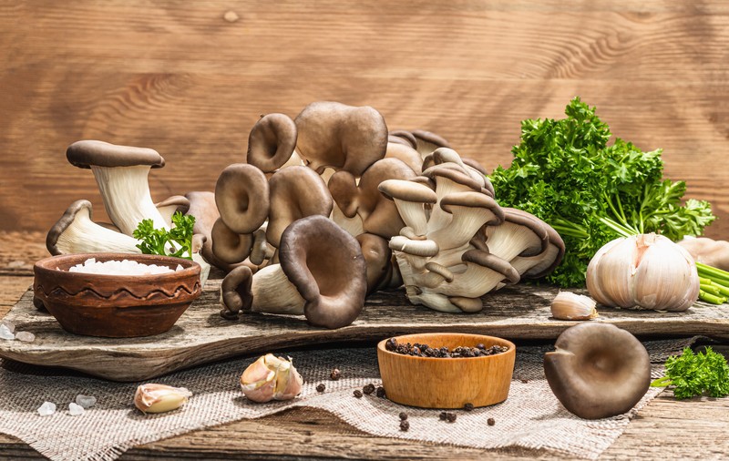 Rețete cu ciuperci pleurotus