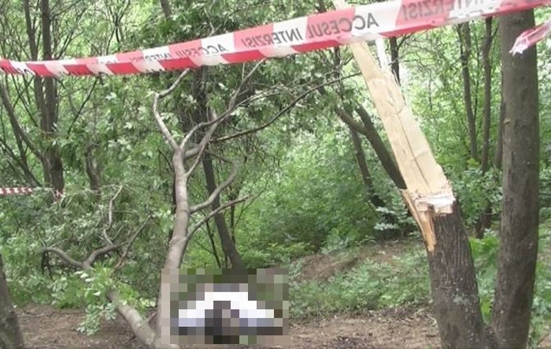 Un cadavru fără mâini şi picioare, descoperit într-o pădure din Timiş