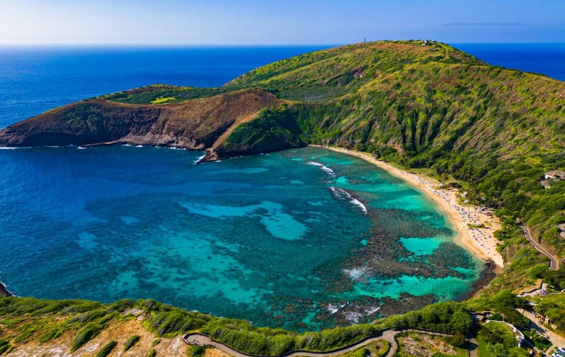 Mii de țânțari, eliberați cu drone în Hawaii într-un plan ecologic fără precedent