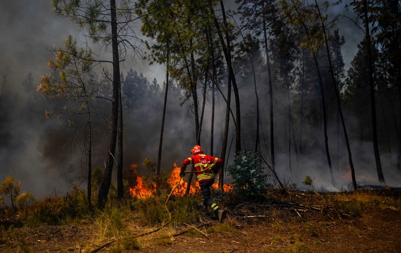 Incendii masive de vegetație în Portugalia, în mijlocul unui nou val de caniculă. Peste 1.400 de oameni au fost evacuați