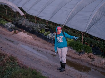 Flori merge la muncă într-un câmp de căpșuni din Palos de la Frontera