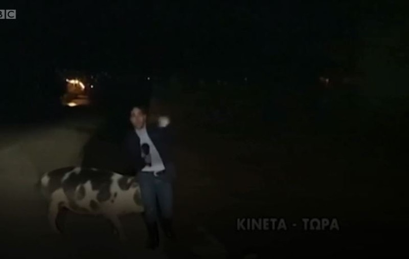 Pățania unui reporter în timp ce transmitea în direct