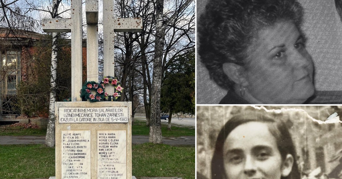 Colaj tragedie Zarnesti