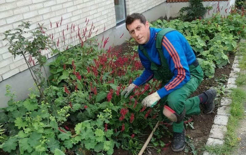 Mihai, grădinarul român care face voluntariat în Danemarca. După job, lucrează la cantinele sociale, iar apoi strânge mâncare pentru sărmani