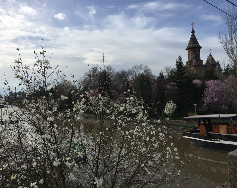 TURIST ÎN ȚARA MEA/ Timișoara înflorește odată cu primăvara. Mica Vienă, orașul premierelor cu o alură aparte de Paști