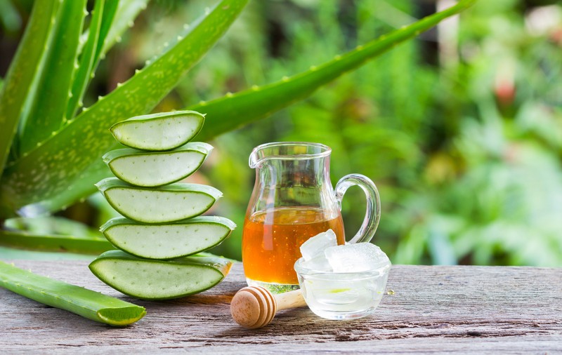 Aloe vera - beneficii și utilizări ale plantei elixir pentru sănătate