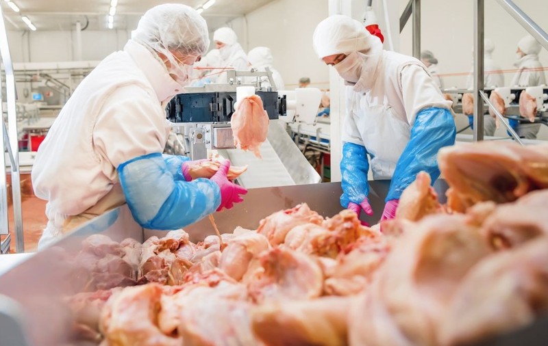 Oameni lucrând într-o fabrică de procesare a cărnii de pui. Foto: Shutterstock