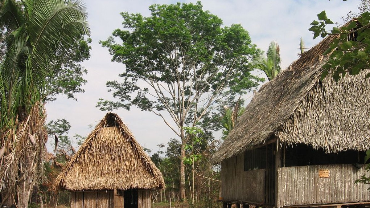 Arhiva foto