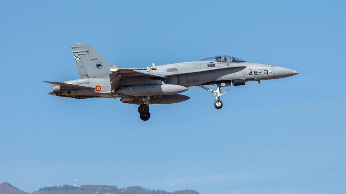 Avion F-18 în zbor