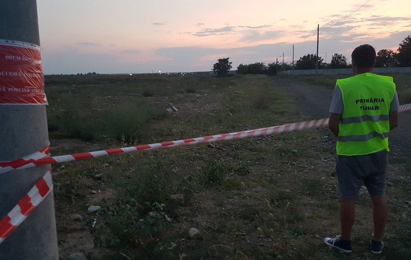 Primul caz de pestă porcină din județul Ilfov. Filtre în comuna Tunari. Mai mulți porci, ridicați de Direcția Sanitar-Veterinară Ilfov