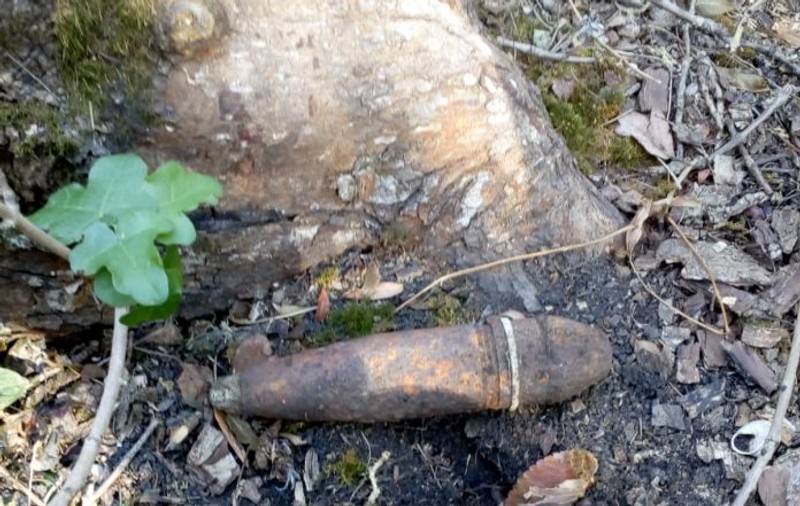 Șase bombe din timpul războiului au fost găsite într-o pădure din Vrancea