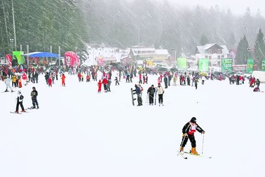 Arhiva foto