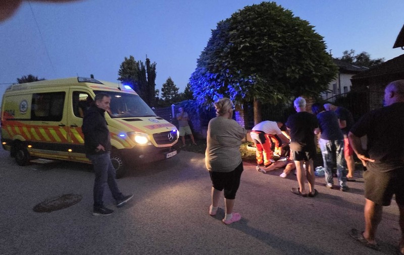 Pitbull scăpat de sub control rănește grav un tânăr, lângă Budapesta: „Băiatul urla de durere, tatăl său - de disperare”
