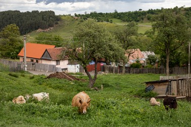 Cătunul Trăinei văzut dinspre casa Lenuţei