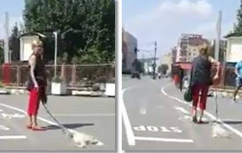 IMAGINE ȘOCANTĂ! Câine târât de stăpână pe o stradă din Reșița. Animalul nu mai mișca