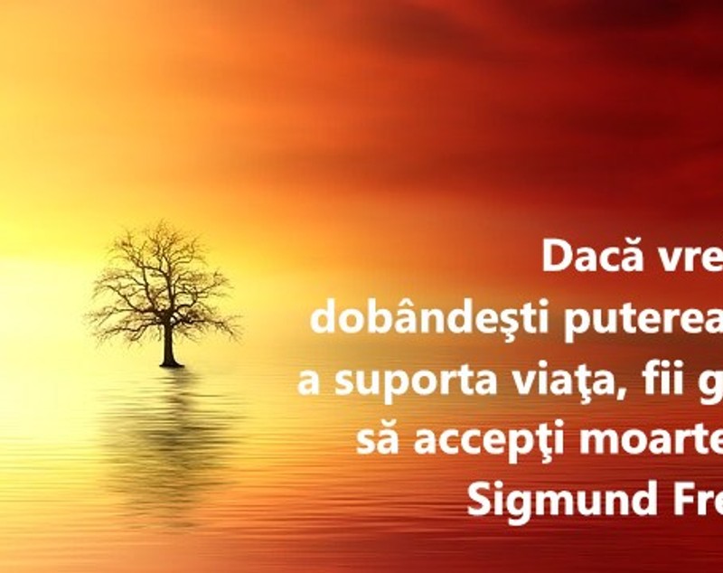 Citate motivaționale - cele mai puternice citate motivaționale
