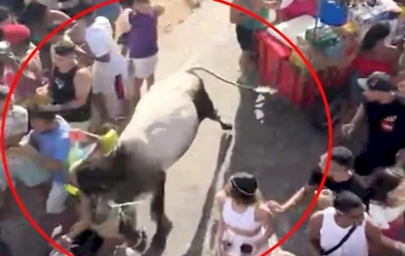 Un taur a intrat printre participanții la un carnaval din Brazilia, rănind mai mulți oameni | VIDEO