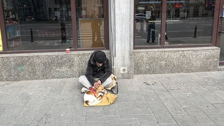 Mărinică și prietenul său patruped, Haplea
