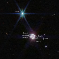 Webb a surprins șapte dintre cele 14 luni cunoscute ale lui Neptun: Galatea, Naiad, Thalassa, Despina, Proteus, Larissa și Triton. Foto: NASA