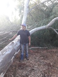 Claudiu lucrează de 15 ani într-o fabrică de cherestea în Sardinia, Italia