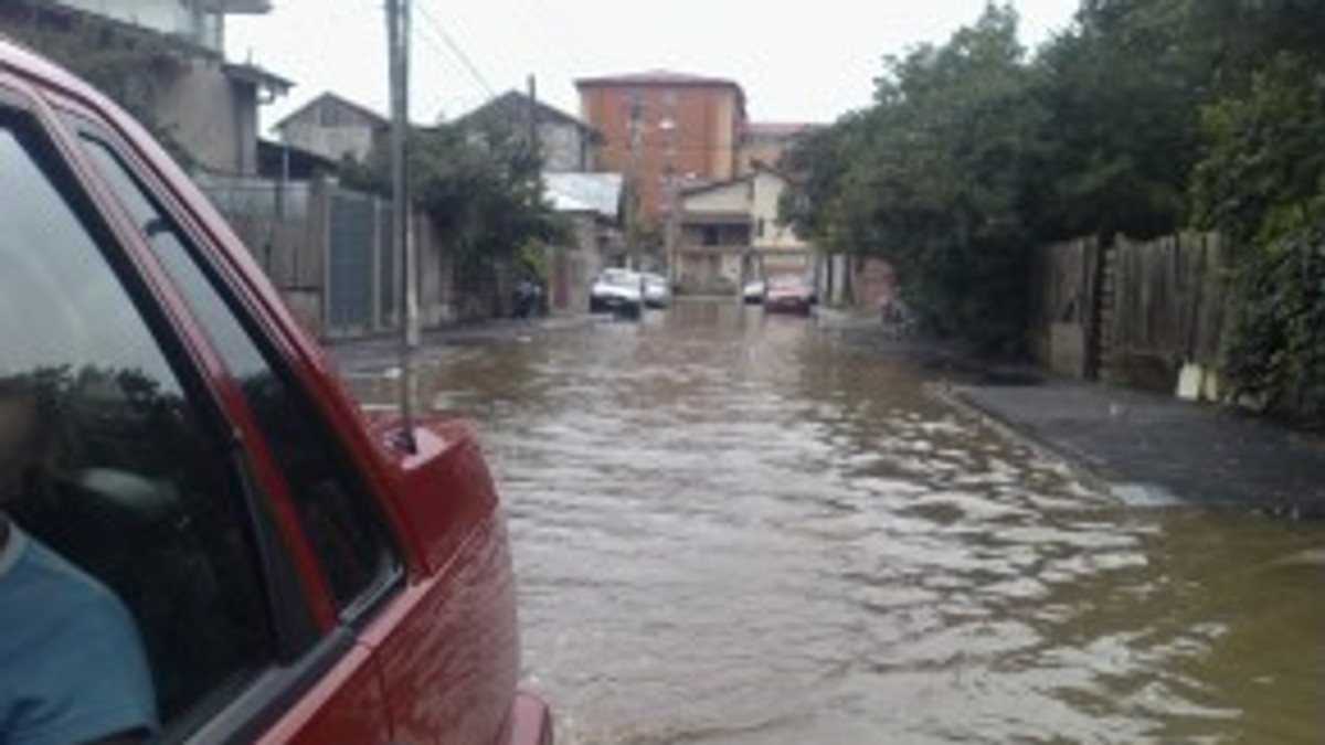 Arhiva foto