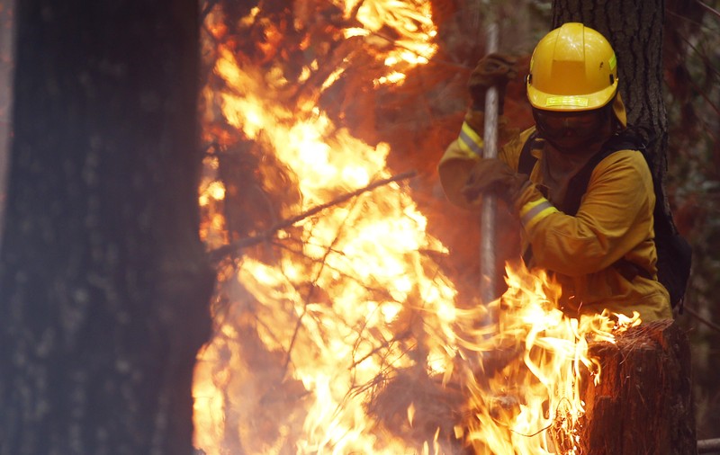 Stare de urgență în Florida, din cauza incendiilor de vegetație | VIDEO